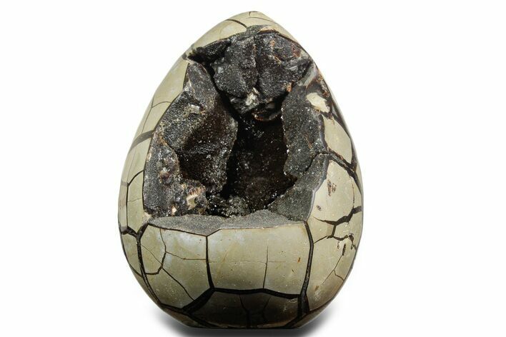 Polished Dragon Egg Septarian Geode - Free-Standing #356166